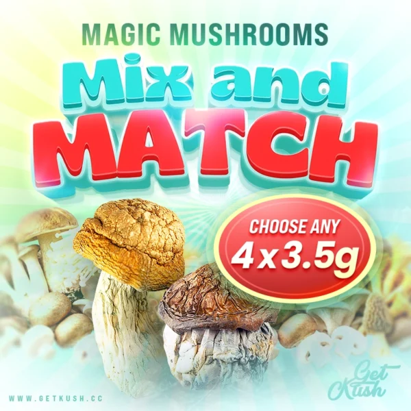 881793470-magic-mushrooms-mix-match-choose-any-4-x-3-5-grams-opt3