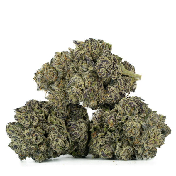 Black Truffle (AAA+)