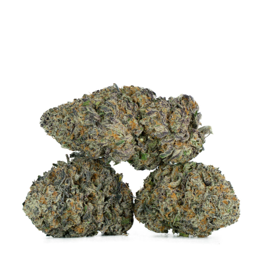 Blue Lobster (AAA+)