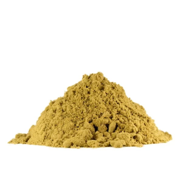Budget-Kief