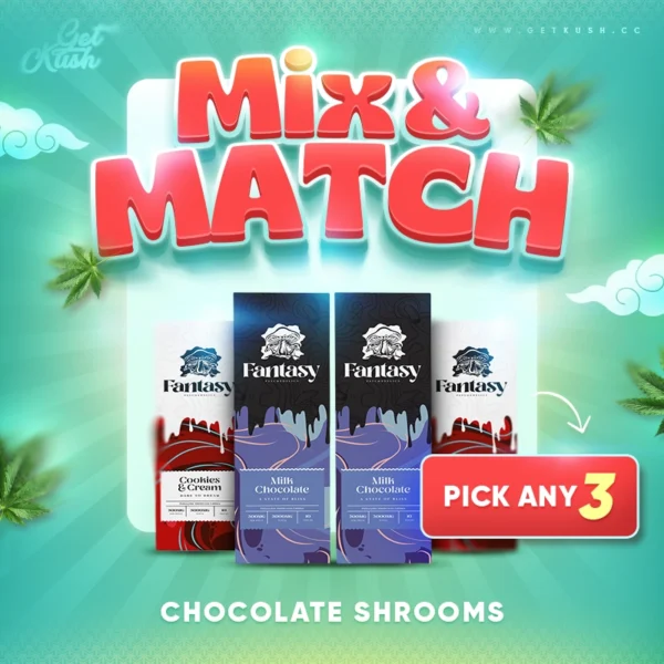 Chocolate Shrooms – Mix & Match – Pick Any 3