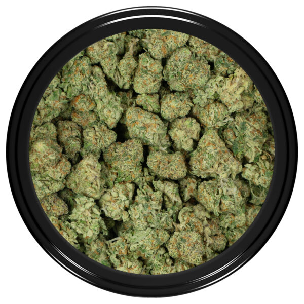 Forum-Cut-Girl-Scout-Cookies-Strain-(Popcorn)