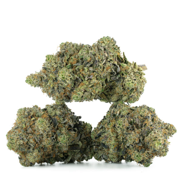 King Louis XIII (AAAA)