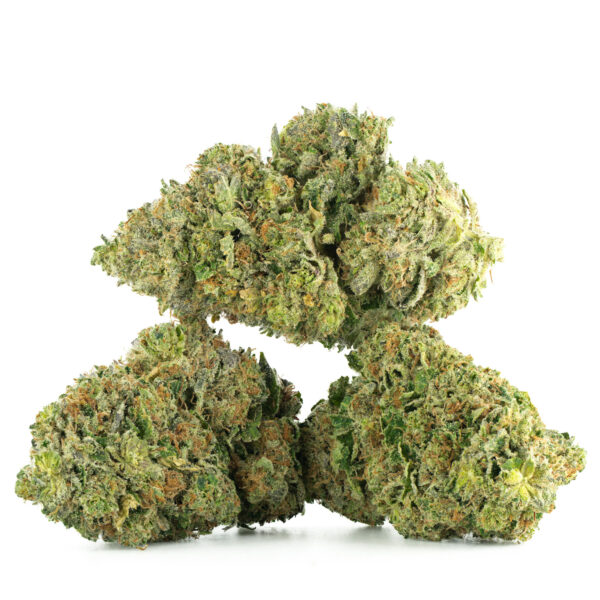 Northern Lights (AA+)