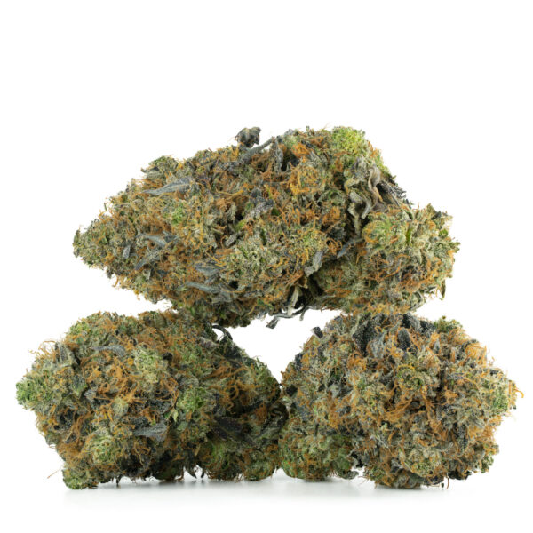 Pink Venom (AAA+)